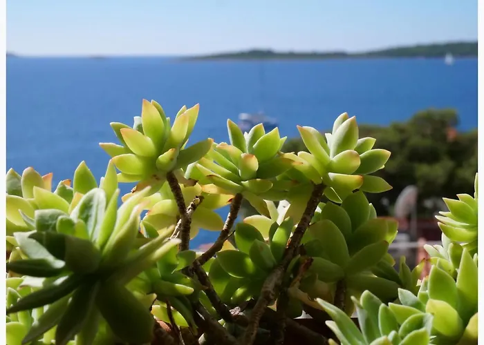 Apartamento The Peninsula